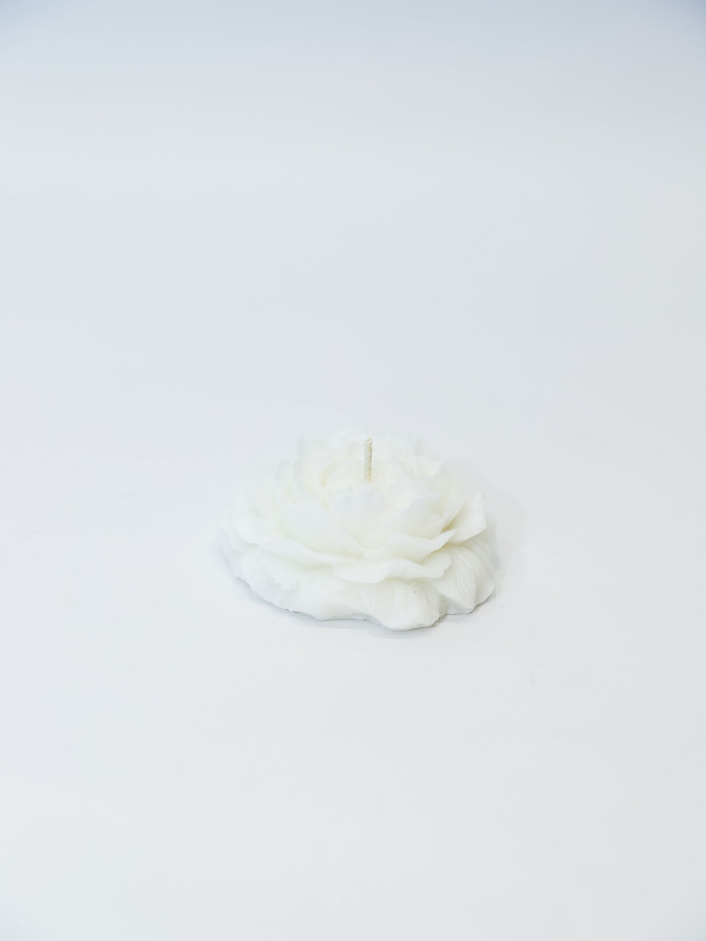 
                  
                    White Rose Candle
                  
                