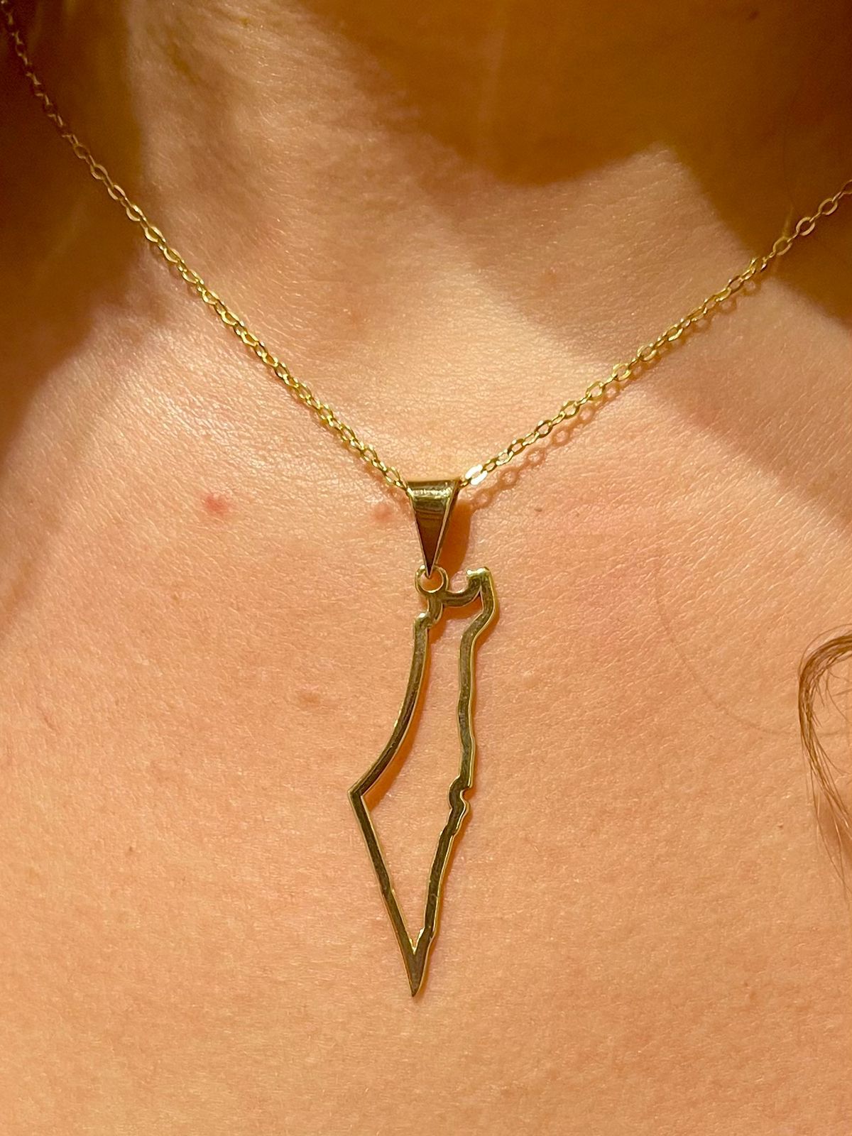 
                  
                    Palestine gold platted silver Map Necklace
                  
                