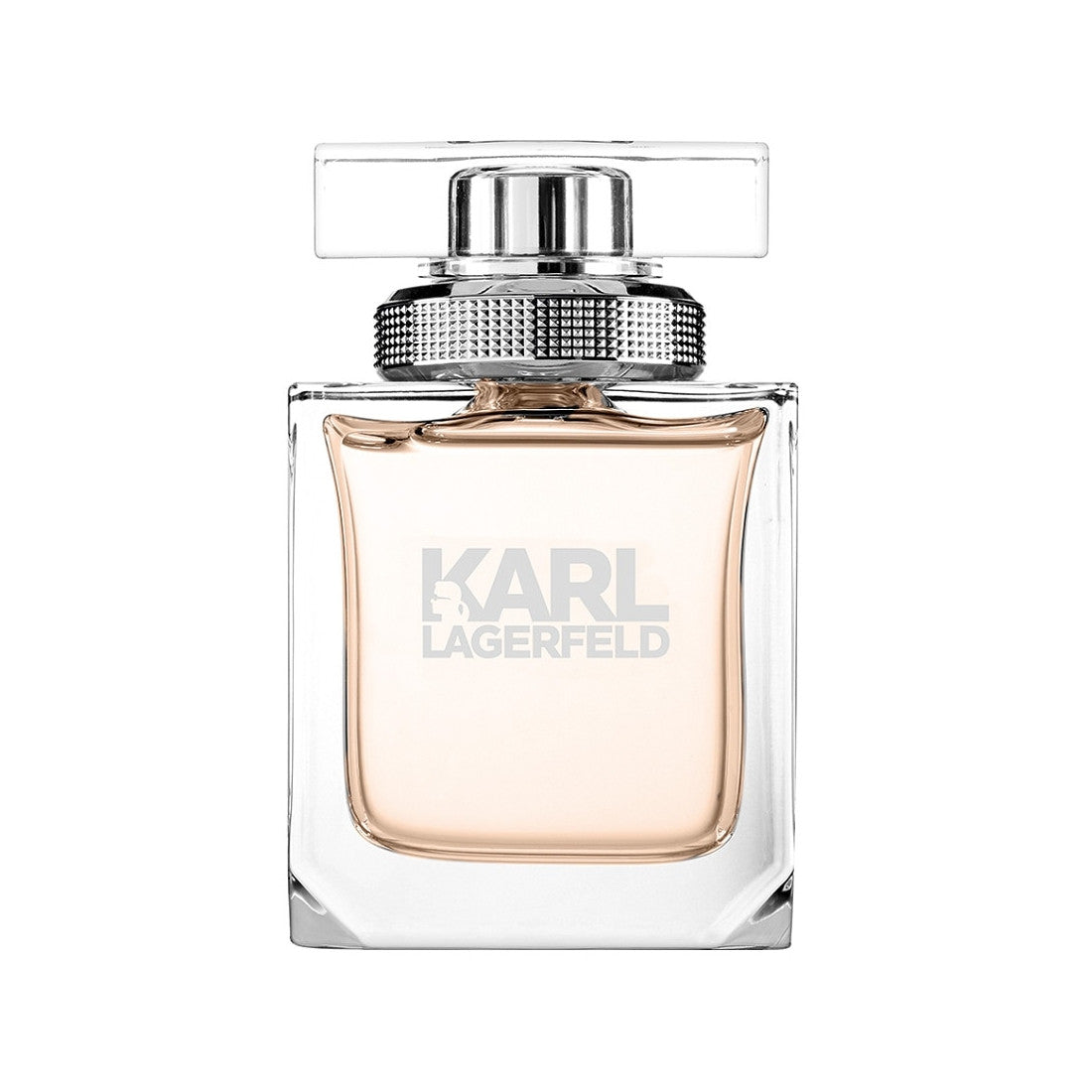 
                  
                    Karl Lagerfeld-Pour Eau De Parfum Spray for Women, 85 ml
                  
                