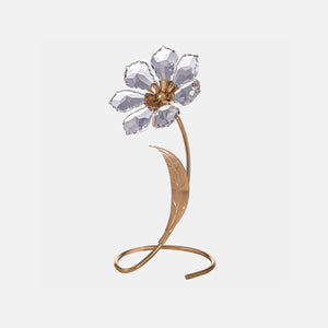 Asfour Crystal-Gold Rose