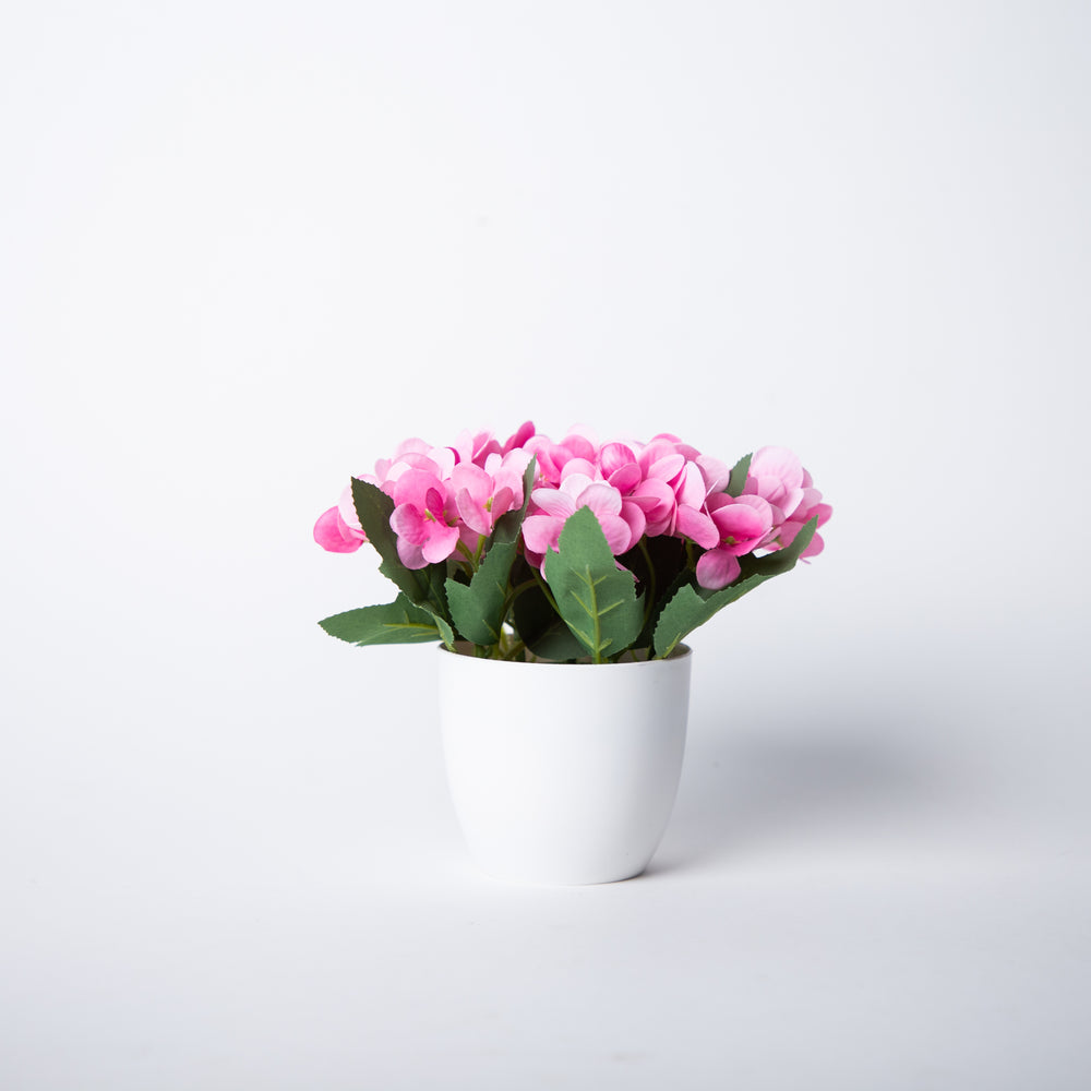 Perks of Pink Flower Pot