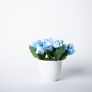 
            
                Load image into Gallery viewer, Skyblue Dream Flower Pot
            
        